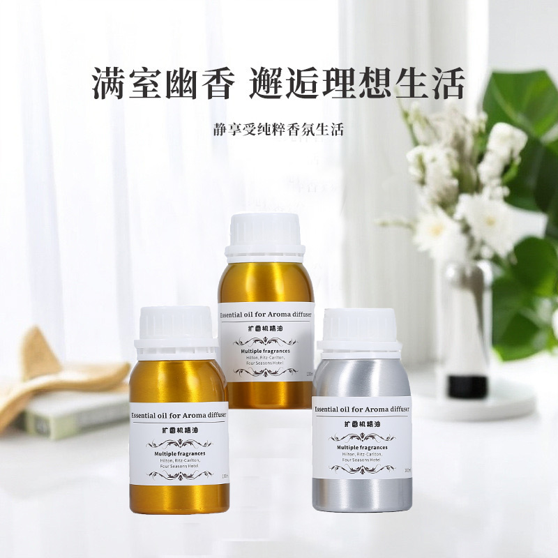 Perfume Fragrance Machine - 100ml Diffusor Ätherische Öle Duftöl für