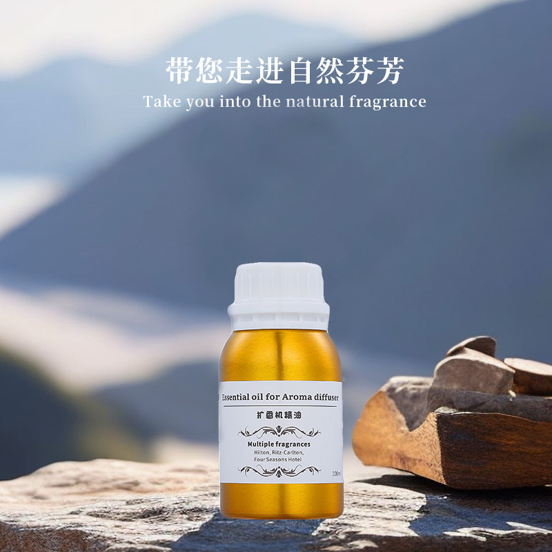 100ml Diffusor Ätherische Öle  – Perfume Fragrance Machine Bewertung und Preis