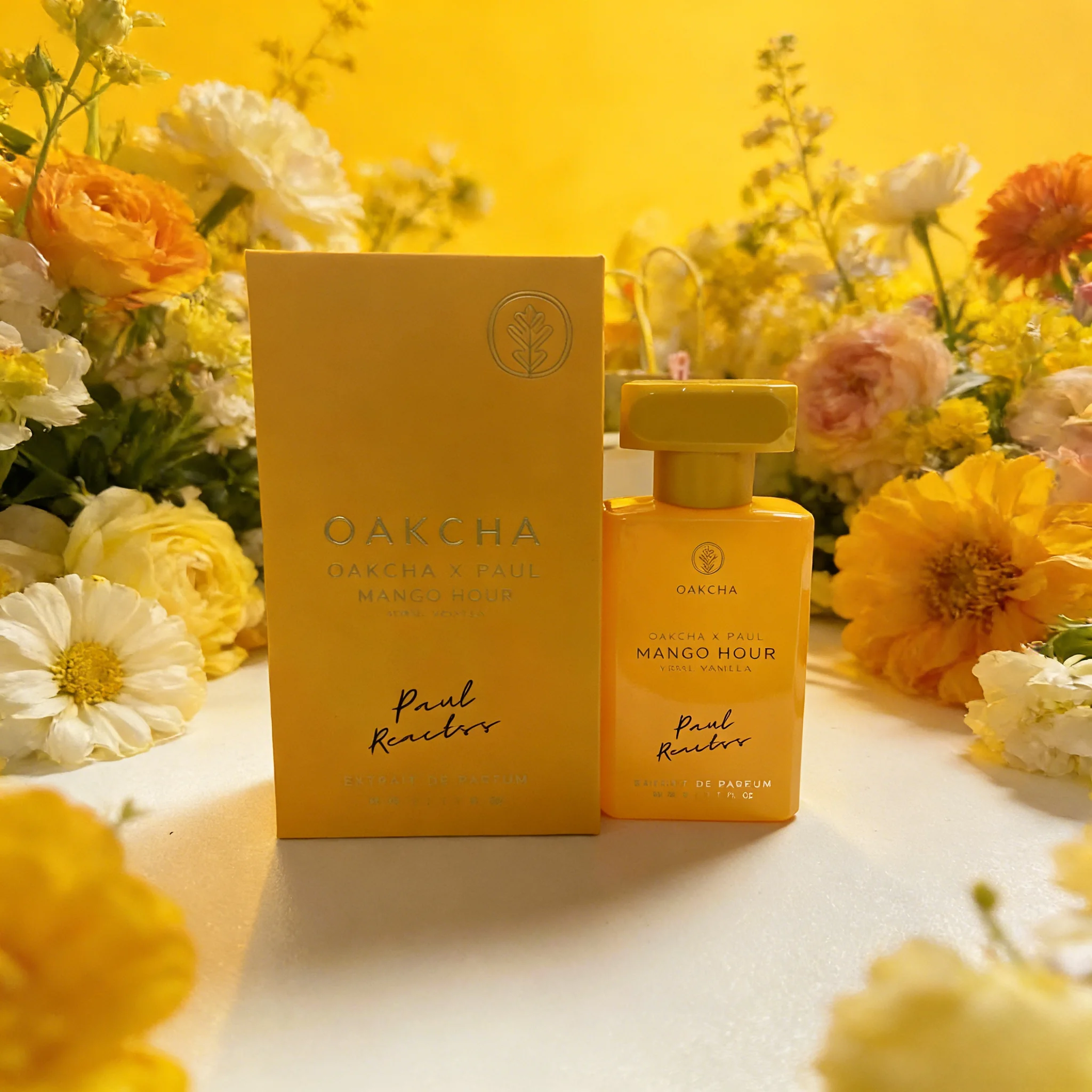 OAKCHA 2-teiliges Parfüm-Set f – Perfume Fragrance Discovery Set Bewertung und Preis